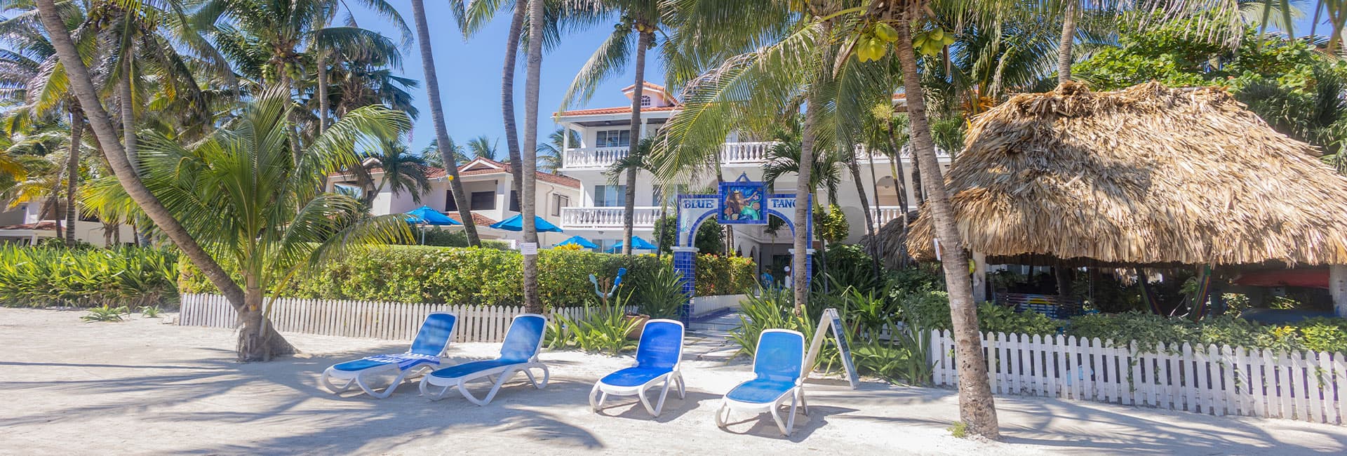 Lounge chairs sit on a sandy beach surrounded by palm trees and tropical foliage near a beachside restaurant.