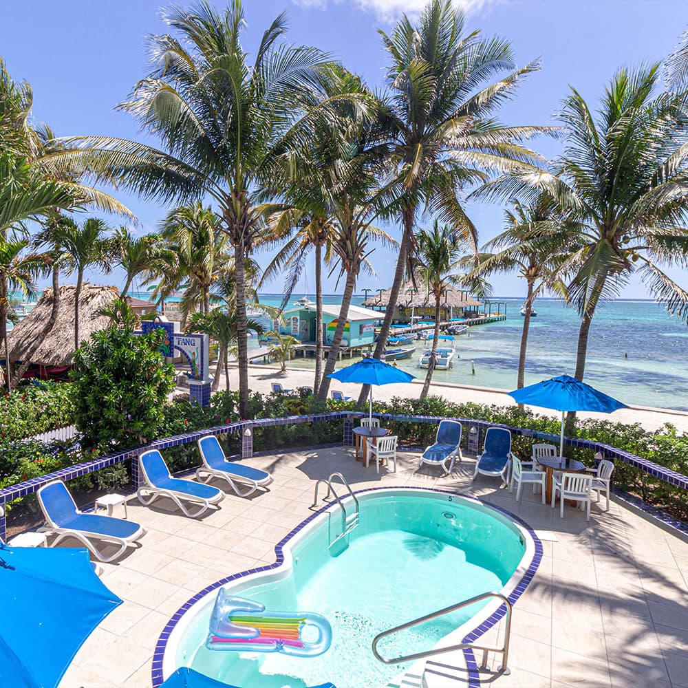 A serene poolside scene surrounded by palm trees and beach views.
